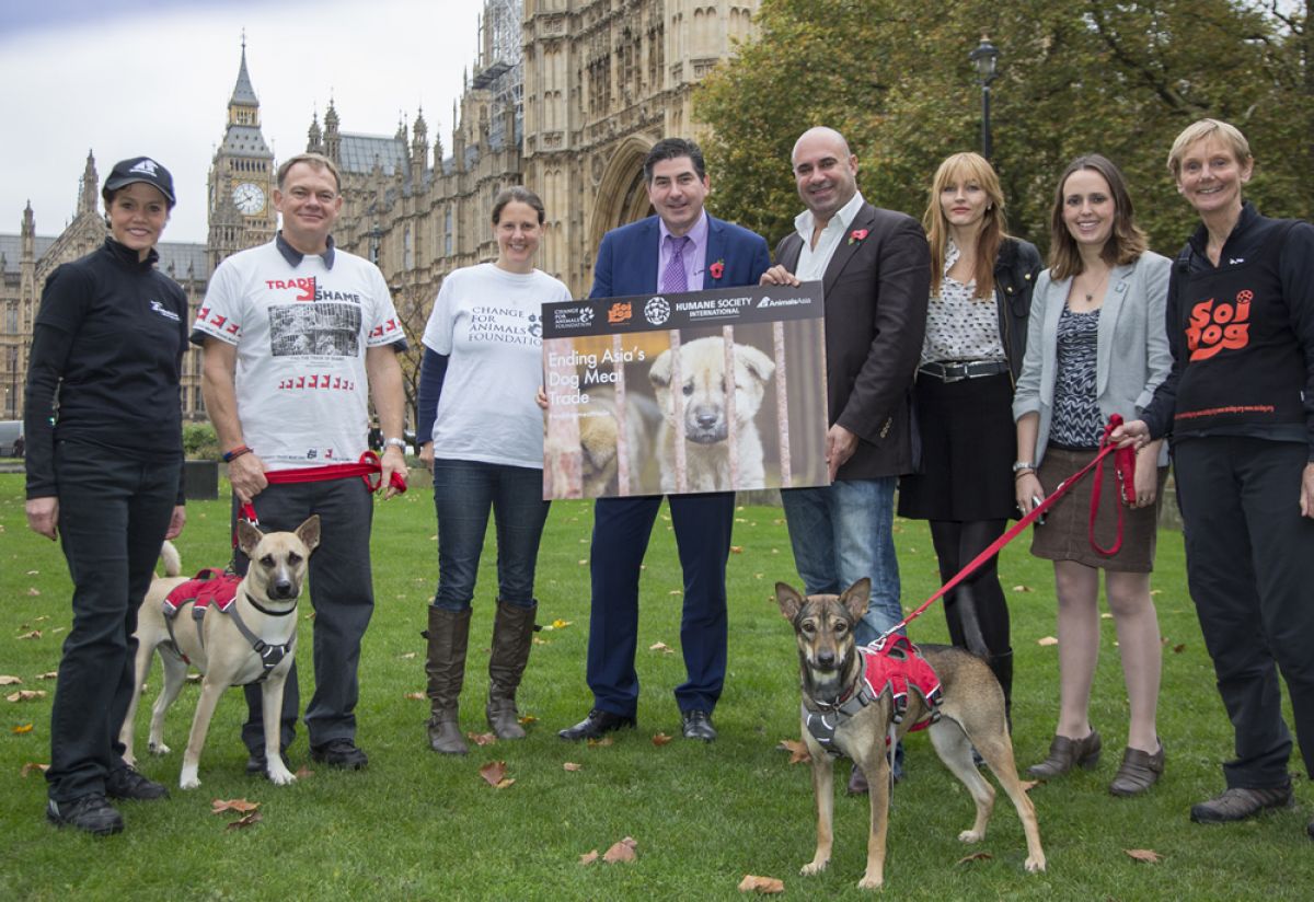BRITISH MEMBERS OF PARLIAMENT COMMIT TO ACTIONS TO TACKLE THE DOG MEAT TRADE